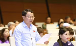Có lợi ích nhóm trong việc khai thác vàng trái phép ở Hòa Bình?