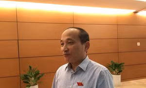  Doanh nghiệp buộc phải vươn lên hoặc bị đào thải khi vào CPTPP