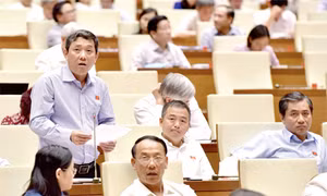 Tự chủ đại học là xu thế tất yếu để cạnh tranh giữa các trường 