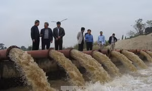 Rút ngắn 3 ngày lấy nước đổ ải vụ Đông Xuân đợt 3 