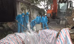Thanh Hóa lập chốt để ngăn chặn dịch tả lợn châu Phi