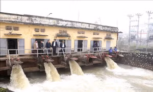 Nhiều địa phương đã hoàn thành lấy nước đổ ải 