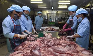 Thịt lợn mát sẽ thay thế dần thịt lợn tươi sống