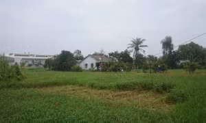 Chồng nguy kịch, vợ chết trong ngôi nhà giữa cánh đồng