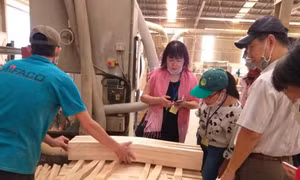 Gỗ nhập lậu- mối nguy 'khó lường' với uy tín ngành chế biến gỗ Việt Nam (bài cuối)