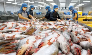 Ngành thủy sản dồn sức cho 3 ‘mũi nhọn’ chiến lược