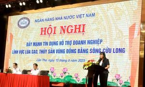 Agribank đồng hành, hỗ trợ doanh nghiệp thủy sản, lúa gạo vùng Đồng bằng Sông Cửu Long