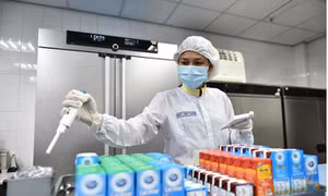 Sữa tươi được tiêu thụ mạnh trong giai đoạn giãn cách xã hội 