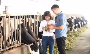 Nông dân tham gia chương trình của Cô Gái Hà Lan làm giàu trên mảnh đất quê hương 