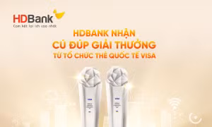 Ngân hàng nào dẫn đầu về kinh doanh thẻ Visa?