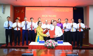 Đảng bộ Tổng công ty Điện lực miền Nam chính thức chuyển giao về Đảng ủy Tập đoàn Điện lực Việt Nam