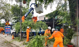 Tổng công ty Điện lực miền Nam: Chủ động ứng phó, đảm bảo cung cấp điện an toàn mùa mưa bão