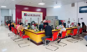 Agribank Chi nhánh Vĩnh Phúc II khai trương Phòng giao dịch Xuân Hòa