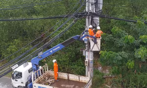 Điện lực TP.Hồ Chí Minh: Tạm ngưng thi công để 'đường thông hè thoáng' trong dịp nghỉ lễ