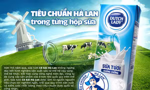 Nguồn sữa đầu vào chất lượng: Yếu tố tiên quyết làm nên chuẩn sữa tươi Cô Gái Hà Lan