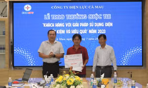 Điện lực miền Nam: Hơn 66.000 khách hàng tham gia cuộc thi tiết kiệm điện
