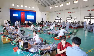 THACO hiến tặng 2000 đơn vị máu trong năm 2019
