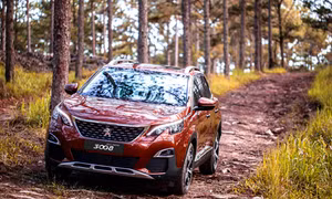 'Sư tử Pháp' Peugeot tìm đường về Mỹ