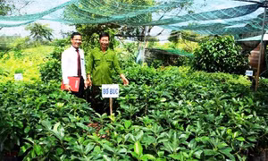 Agribank nỗ lực hành động vì chất lượng cuộc sống cộng đồng