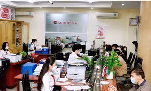 Tiềm năng phát triển thanh toán không dùng tiền mặt tại khu vực nông thôn 