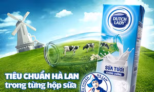 Di sản 145 năm kiến tạo sữa tươi tiêu chuẩn Hà Lan