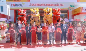 HDBank Đắk Bla – dòng sông chảy ngược vun đắp đại ngàn