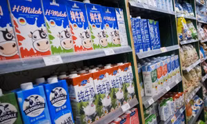 Trung Quốc đối mặt 'cơn khát' sữa trước thách thức không có đủ bò