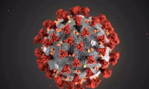 Kháng thể cảm lạnh thông thường có thể giúp miễn nhiễm virus SARS-CoV-2?