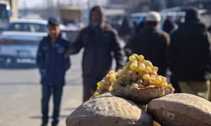 Độc đáo cách bảo quản hoa quả luôn tươi ngon suốt nửa năm tại Afghanistan