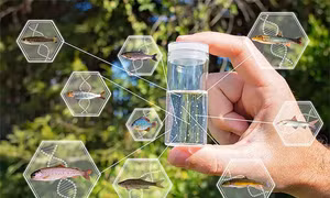 Giải trình tự DNA của môi trường: Kỹ thuật tạo ra cuộc cách mạng sinh học