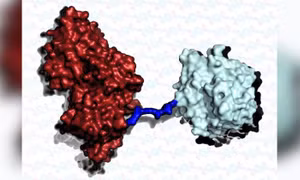 Siêu enzyme mới có thể ‘ăn’ nhựa nhanh gấp 6 lần