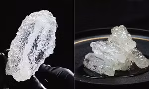 Gà rán 'trong suốt' như thuỷ tinh gây sốt mạng xã hội