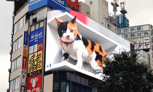 Mèo 3D khổng lồ cử động như thật trên biển quảng cáo lớn nhất Tokyo