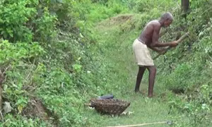 Người đàn ông Ấn Độ dành 30 năm đào kênh dẫn nước về làng