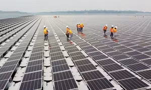 Ngành pin mặt trời Đông Nam Á lao đao vì phụ thuộc thị trường Mỹ