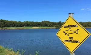 Kinh hãi sân golf nằm sát đầm cá mập hung hãn tại Australia
