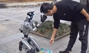 Robot ‘ăn xin’ gây tranh cãi khi xuất hiện trên đường phố Trung Quốc 