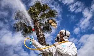 Phát hiện vùng khí hậu 'ưa thích' của virus SARS-CoV-2