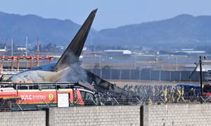 Lỗ hổng trong hệ thống ứng phó với chim vào thời điểm máy bay Jeju Air gặp nạn