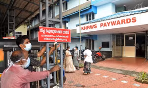 Bang ở Ấn Độ đóng cửa trường học để ngăn chặn virus chết người Nipah
