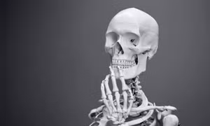 Bí ẩn của những người có bộ xương khỏe nhất thế giới
