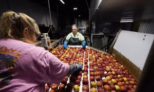 Ứng dụng khoa học công nghệ trong cuộc chiến chống lãng phí thực phẩm 