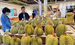 Người tiêu dùng Trung Quốc có thể thưởng thức sầu riêng nhờ giá giảm