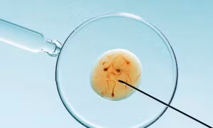 Bên trong ngành công nghiệp IVF trị giá hàng tỷ USD của châu Á