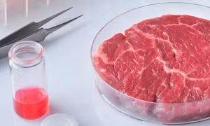 Thịt nhân tạo – Xu thế của tương lai và làn sóng tranh cãi tại Mỹ