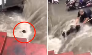 Video khoảnh khắc kỳ diệu giải cứu người phụ nữ suýt bị lũ cuốn ở Trịnh Châu