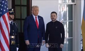 Tổng thống Trump và Zelensky củng cố quan hệ 