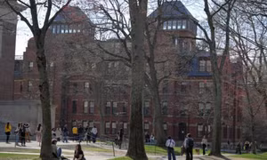 Lý do Lầu Năm Góc chấm dứt chương trình đào tạo với Đại học Harvard