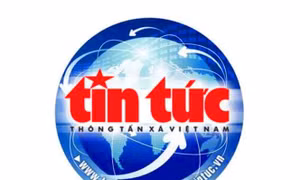 Kiều bào với Tổ quốc: Nguồn lực trí tuệ và niềm tin đồng hành cùng phát triển đất nước
