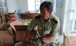 Tạm dừng lưu thông hơn 400 sản phẩm đồ chơi trẻ em không đạt về ghi nhãn 